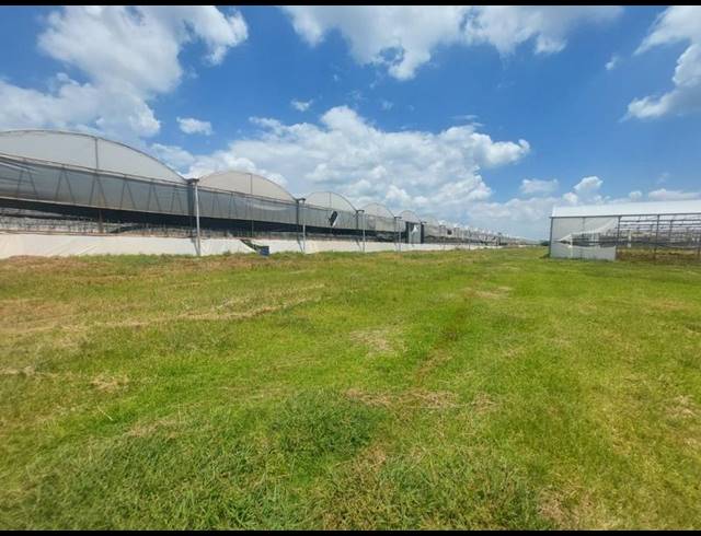 FARM FOR SALE IN WELTEVREDEN